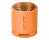 SONY SRS-XB100 Pomarańczowy SRSXB100D.CE7 - 1169972 - zdjęcie 1
